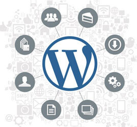 WordPress websites