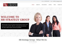 HR Strategy Group