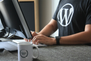WordPress maintenance services