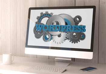 WordPress maintenance and training services
